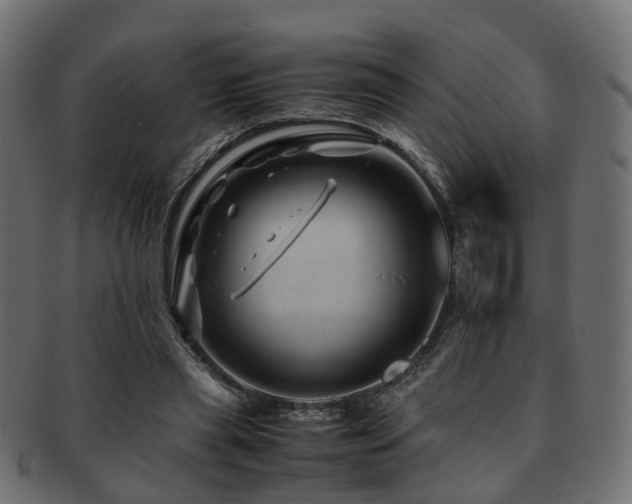 X0000093230445200709261655