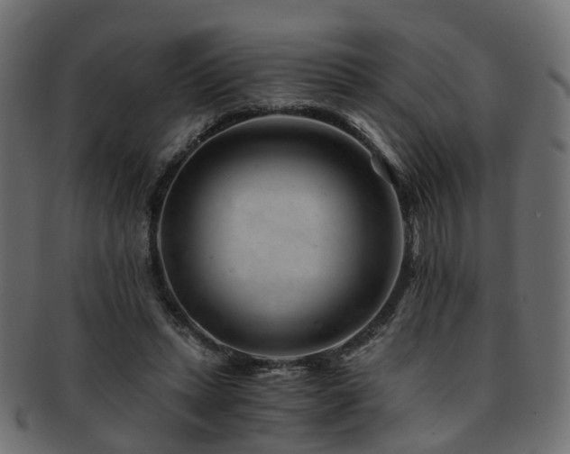 X0000093230447200709261655