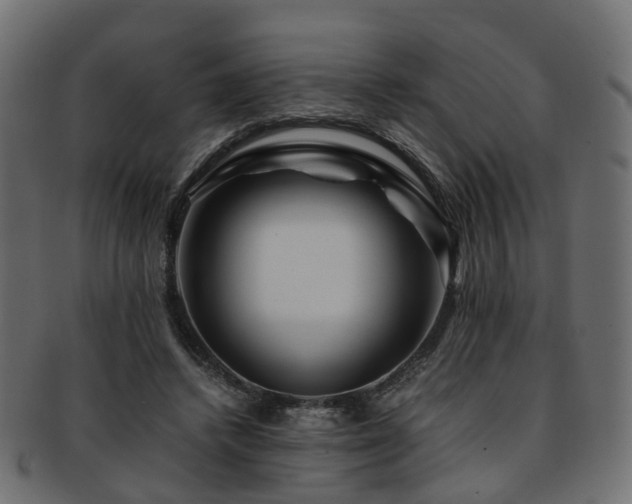 X0000093230448200709261655