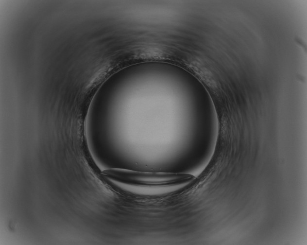 X0000093230449200709261655
