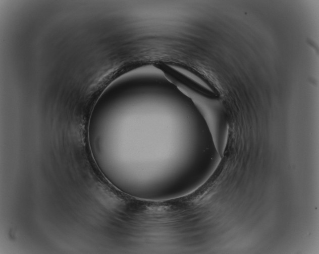 X0000093230450200709261655