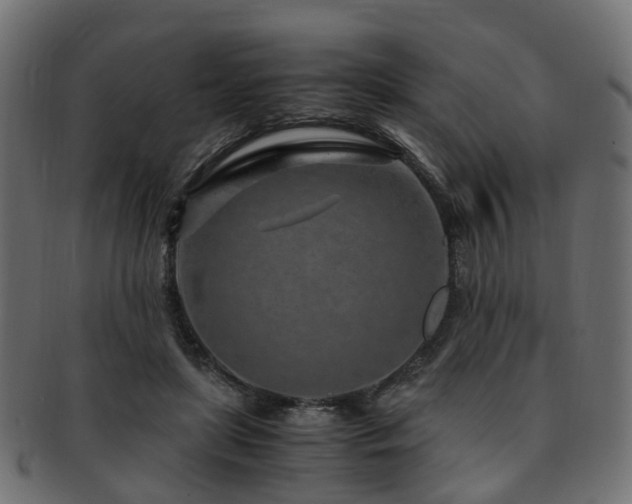 X0000093230451200709261655