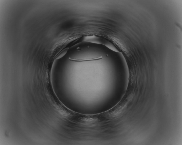 X0000093230453200709261655