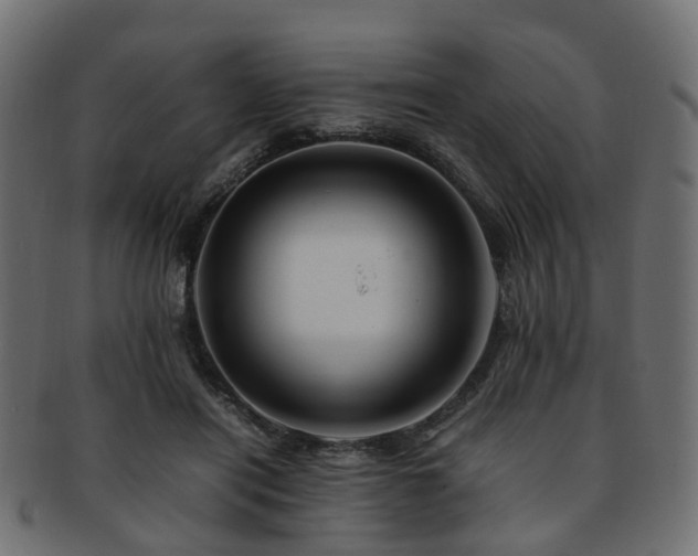 X0000093230454200709261655