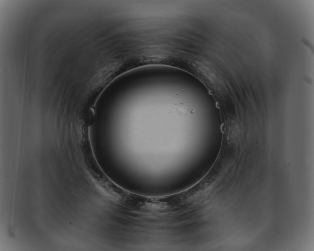 X0000093230455200709261655