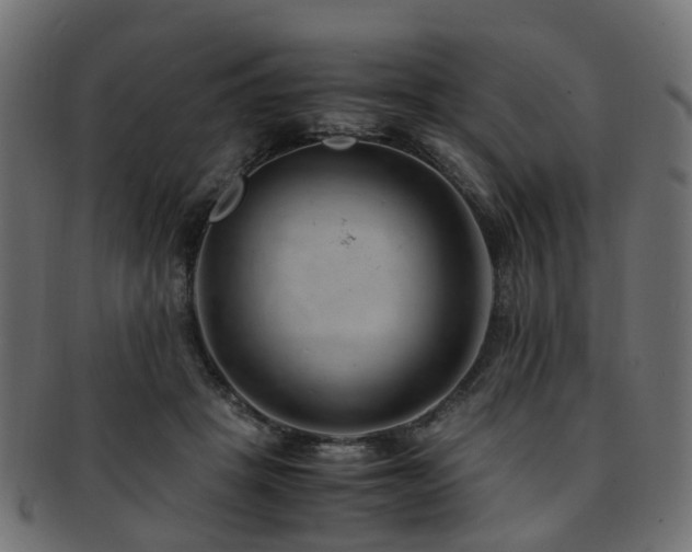 X0000093230457200709261655