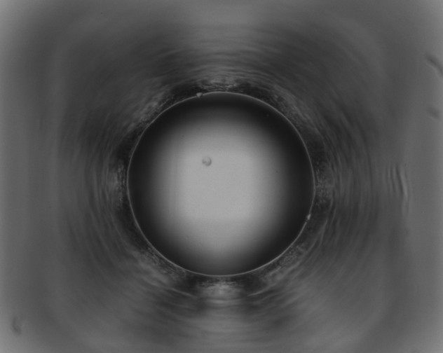 X0000093230460200709261655