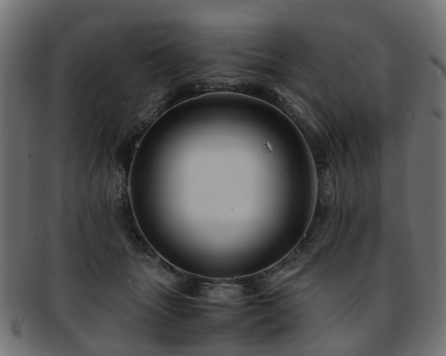 X0000093230463200709261655
