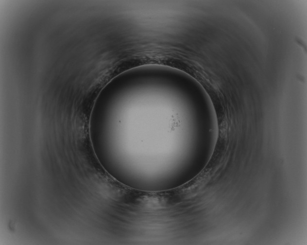 X0000093230464200709261655