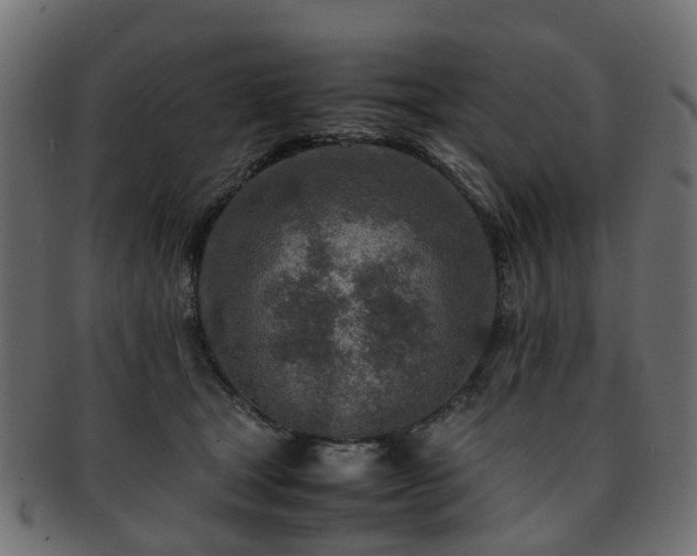 X0000093230465200709261655