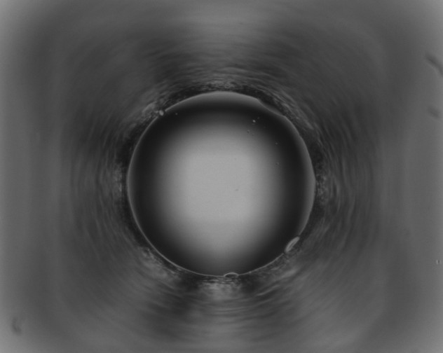 X0000093230466200709261655