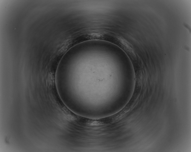 X0000093230467200709261655