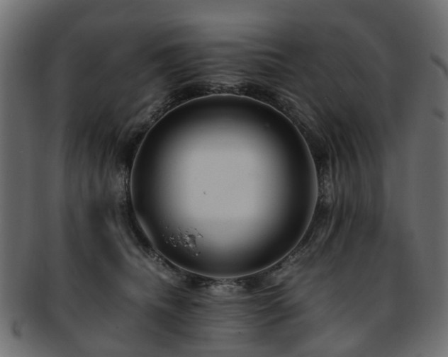 X0000093230468200709261656