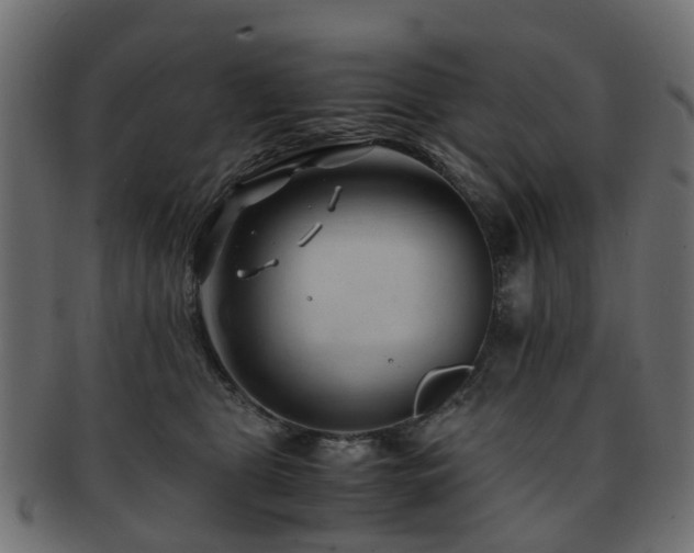 X0000093230469200709261656