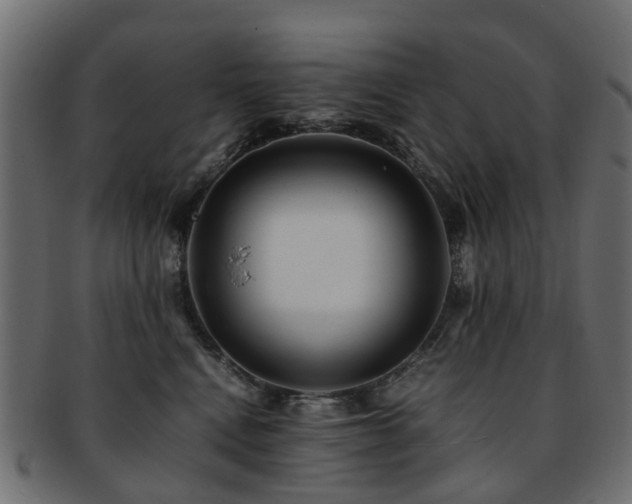 X0000093230472200709261656