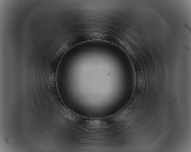 X0000093230473200709261656