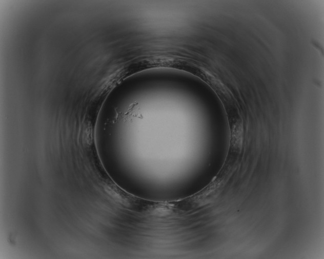 X0000093230474200709261656