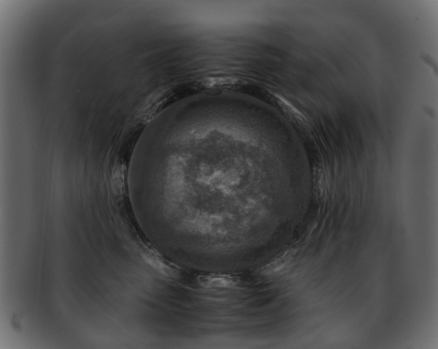 X0000093230475200709261656