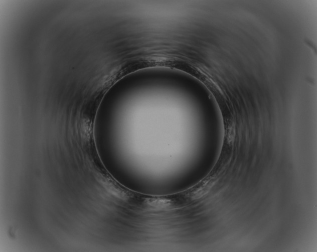 X0000093230476200709261656