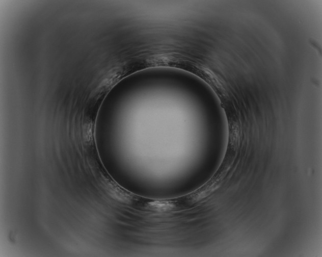 X0000093230477200709261656