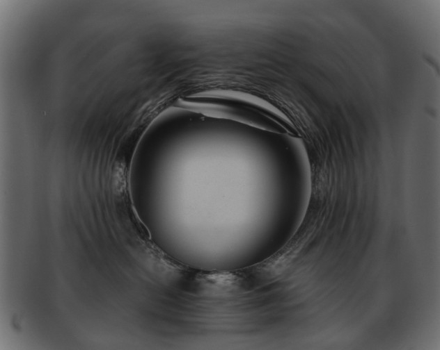 X0000093230478200709261656