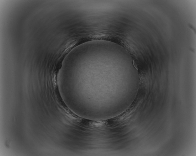 X0000093230479200709261656