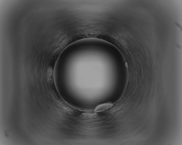 X0000093230480200709261656