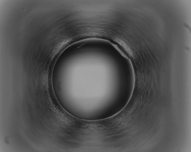 X0000093230482200709261655