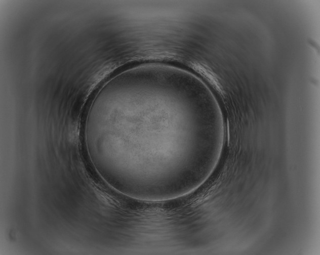 X0000093230483200709261655