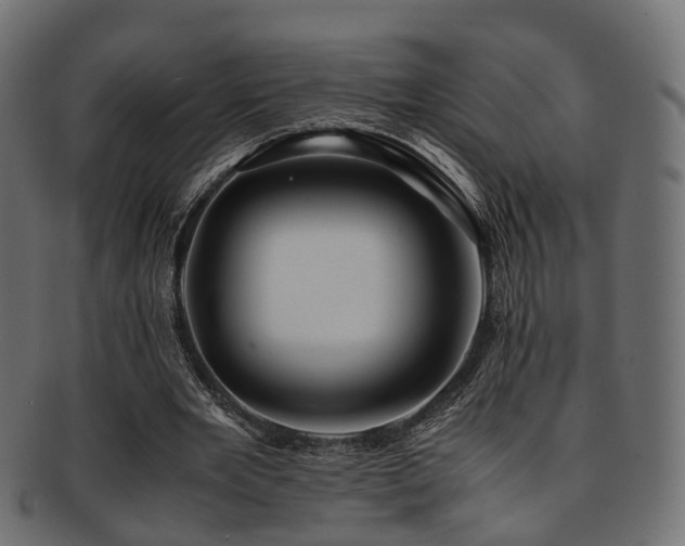 X0000093230485200709261655