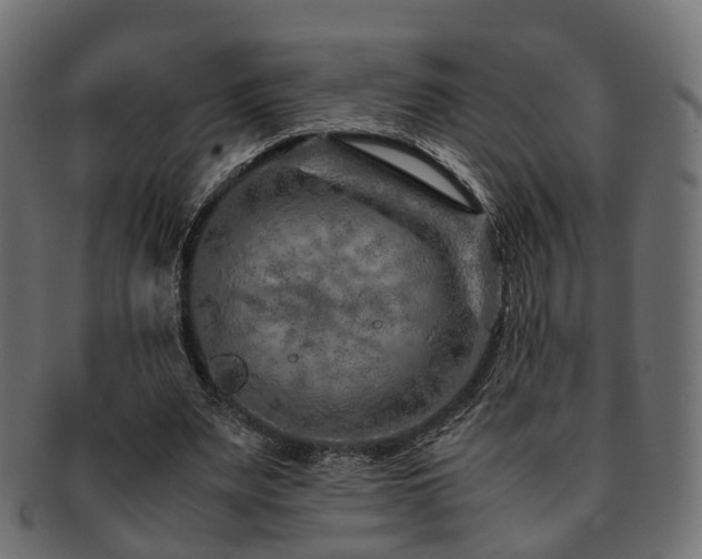 X0000093230487200709261655
