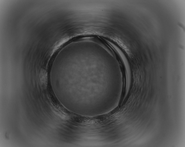 X0000093230488200709261655