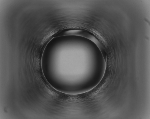 X0000093230489200709261655