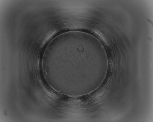 X0000093230491200709261655