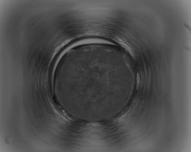 X0000093230492200709261655