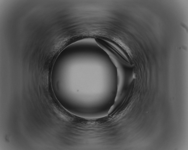 X0000093230493200709261655