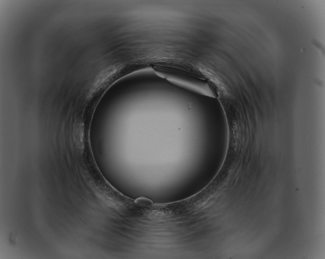 X0000093230494200709261655
