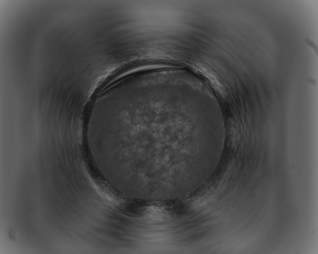 X0000093230496200709261655
