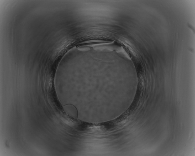X0000093230499200709261655