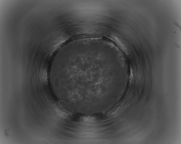 X0000093230500200709261655