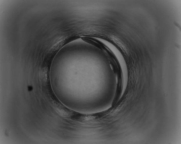 X0000093230501200709261655