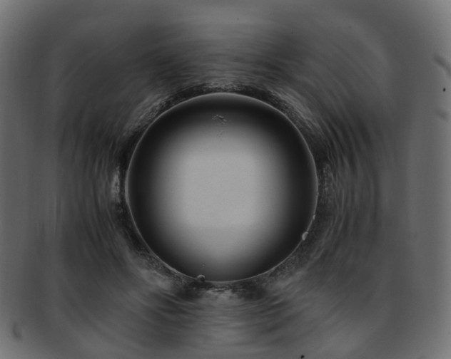 X0000093230502200709261655