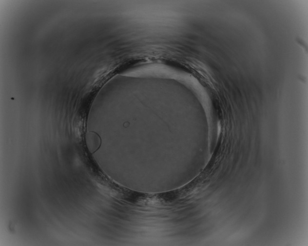 X0000093230503200709261655