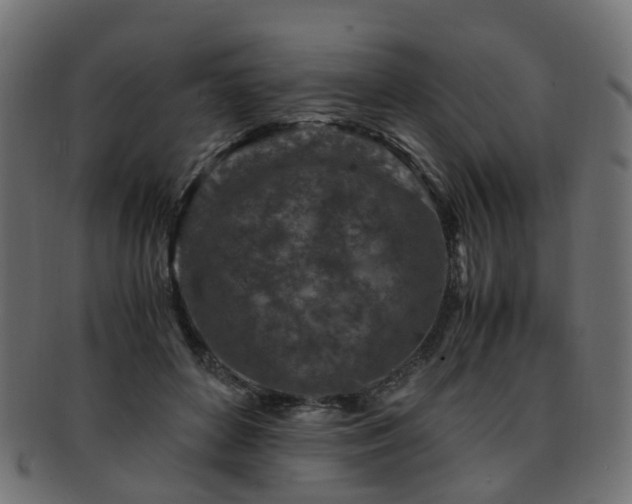 X0000093230504200709261655