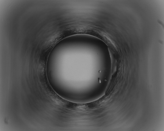 X0000093230505200709261655