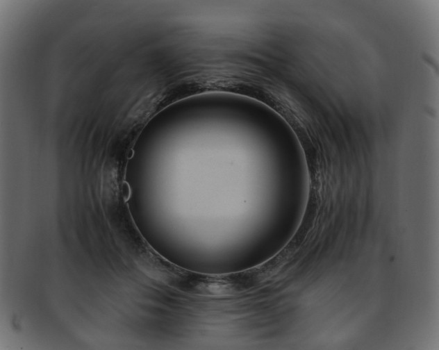 X0000093230506200709261655