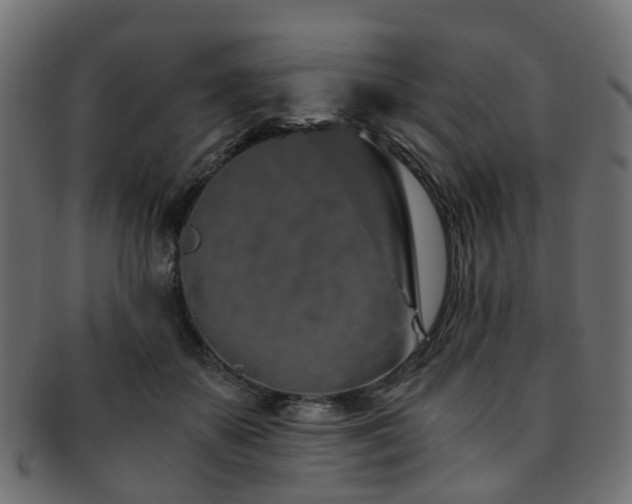 X0000093230507200709261655