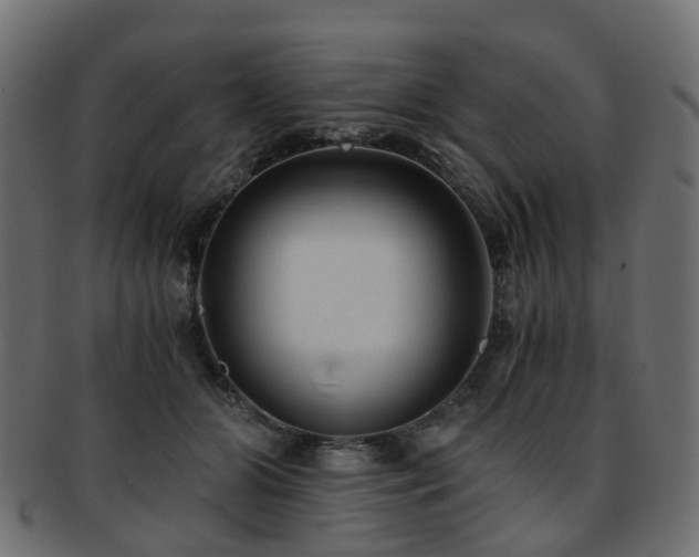 X0000093230510200709261655