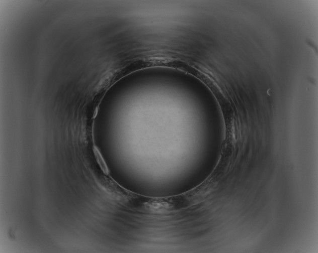 X0000093230512200709261655