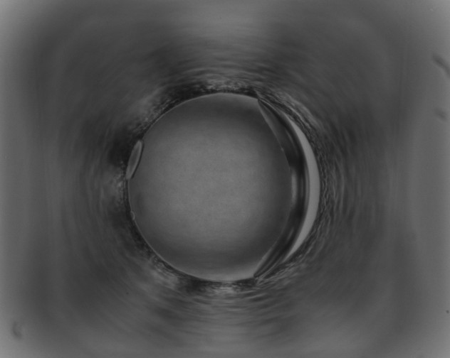 X0000093230513200709261655